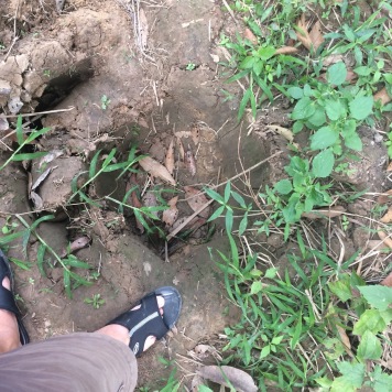 Elephant tracks in Isaan