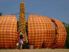 Pumpkin exibition, Jim Thompson farm